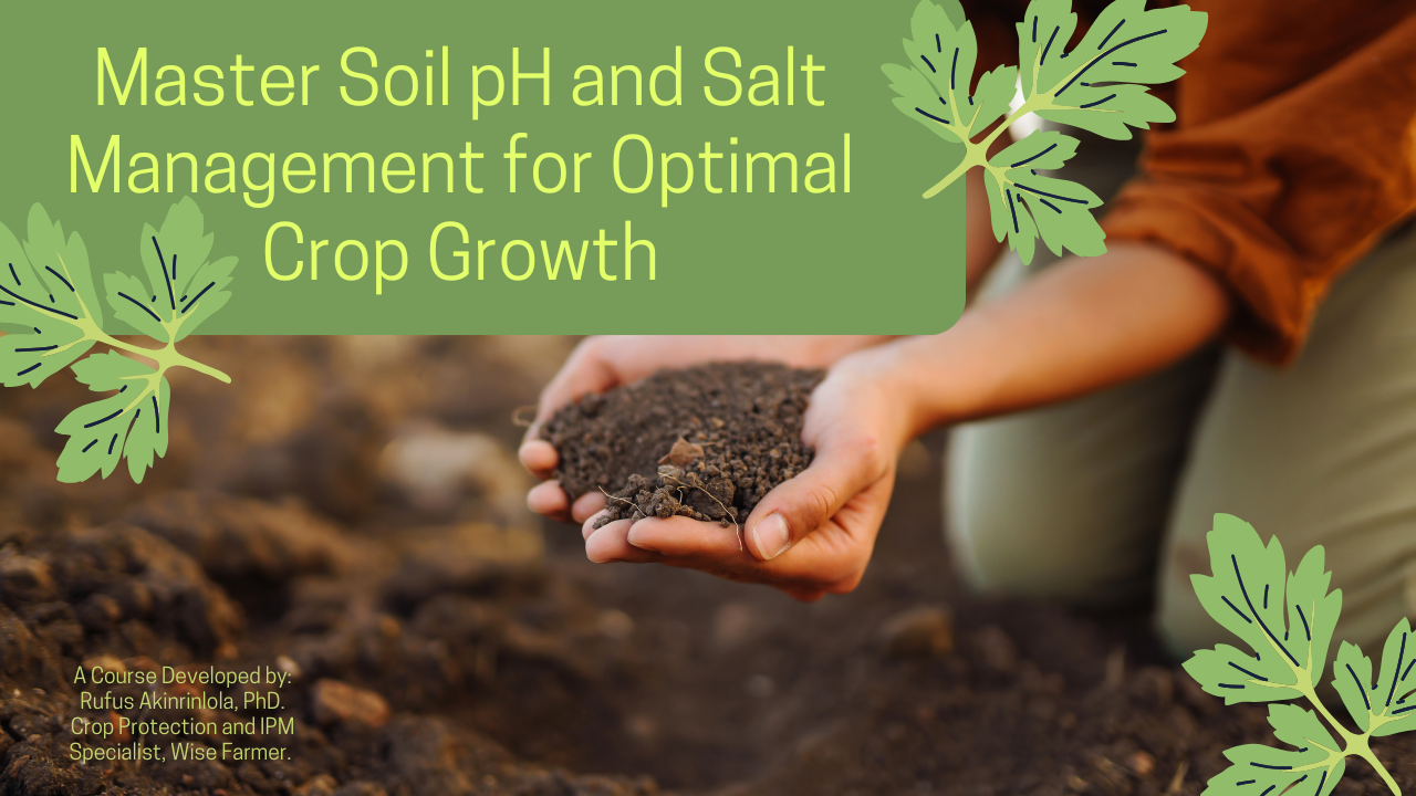 Master Soil pH and Salt Management for Optimal Crop Growth