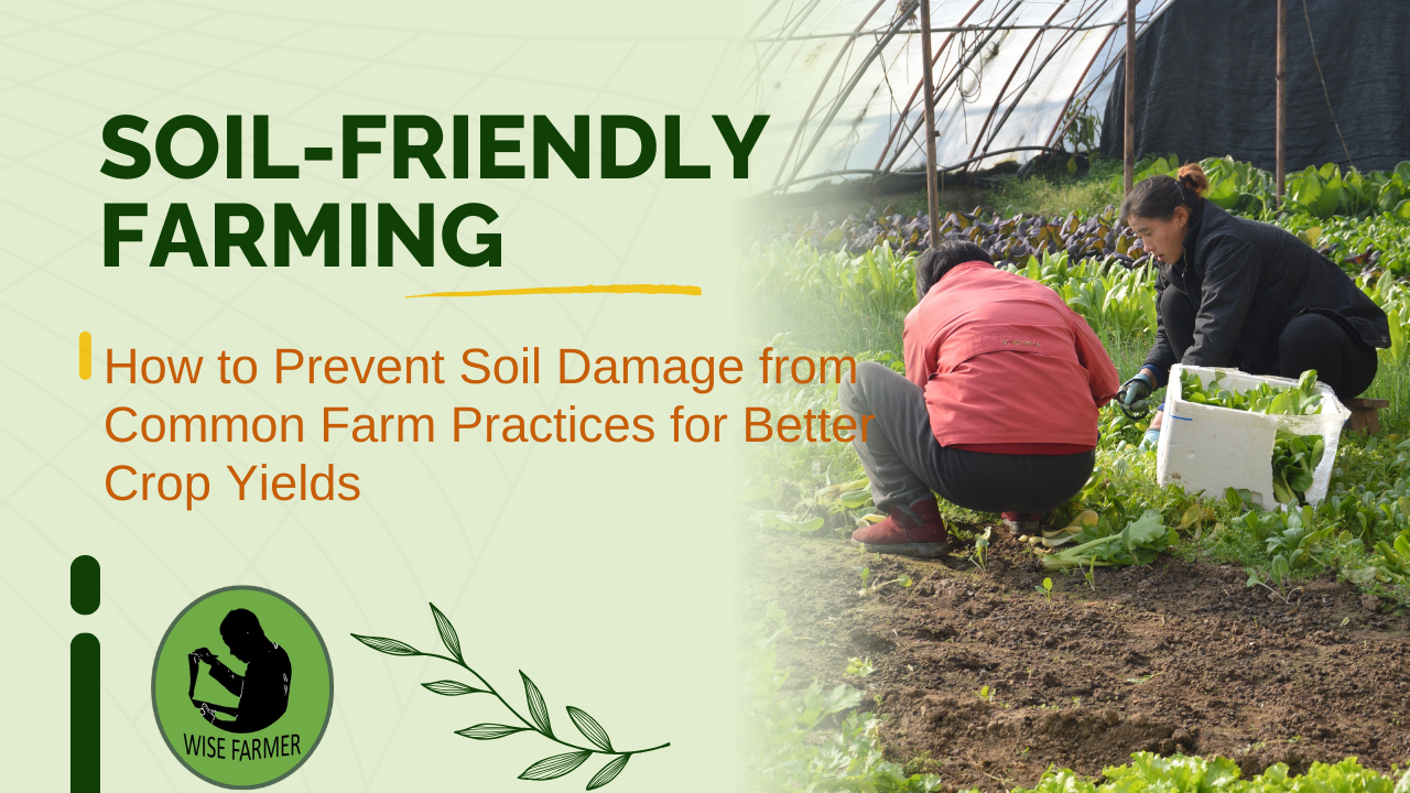 Soil-Friendly Farming: How to Prevent Soil Damage from Common Farm Practices for Better Crop Yields